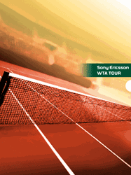 pic for Generic Clay Court
